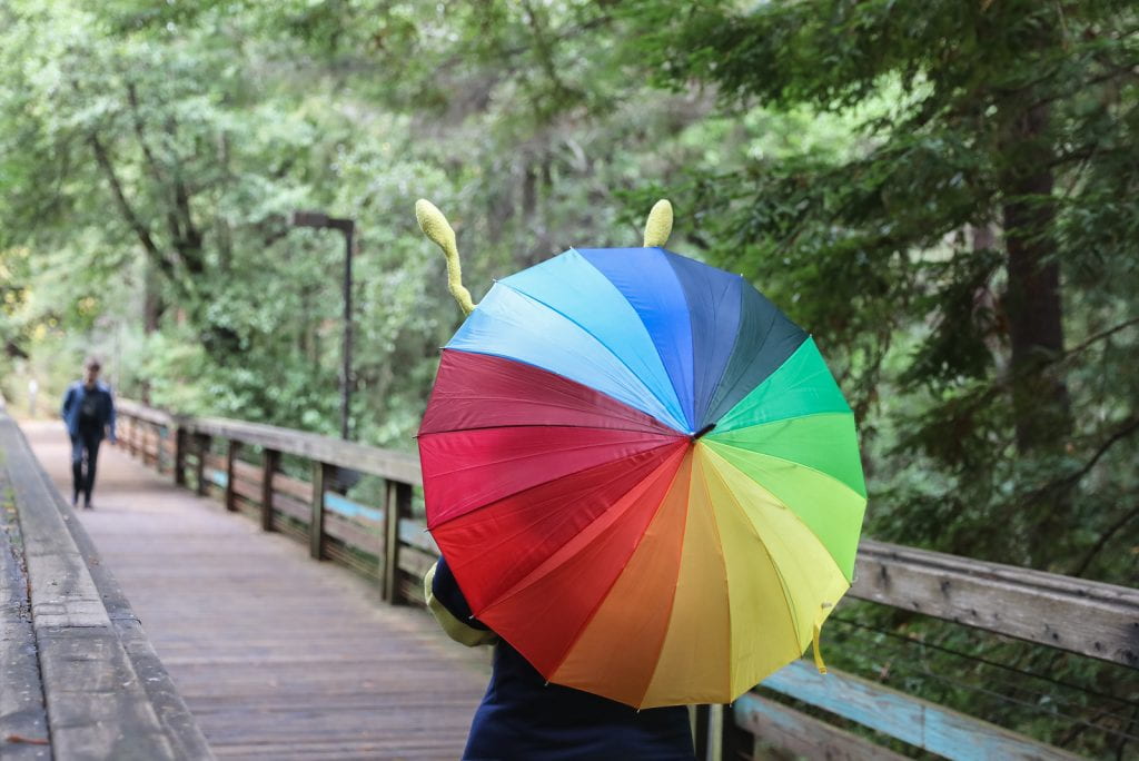 Sammy the slug walking on a redwood bridge with a rainbow umbrella