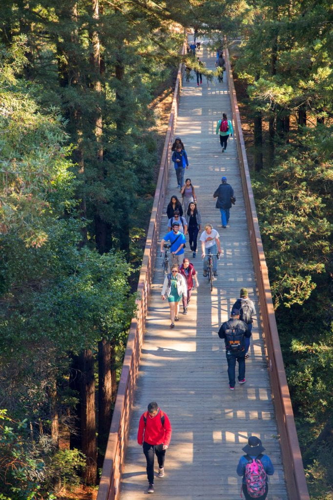 students walking along a bridge