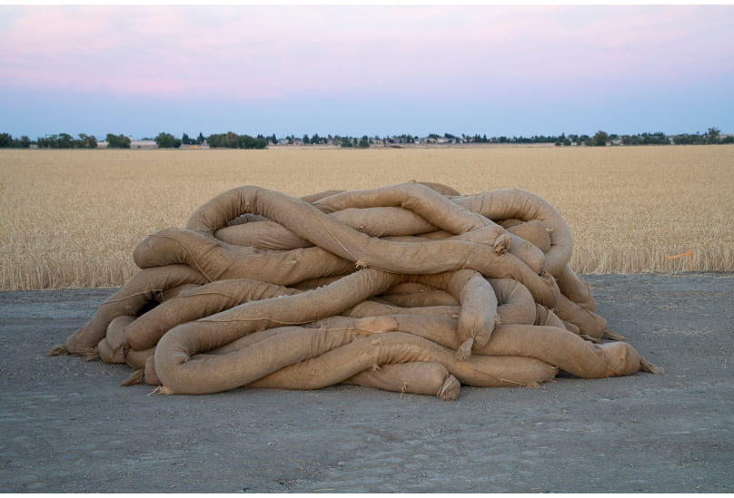 Sandbags used in an art installation