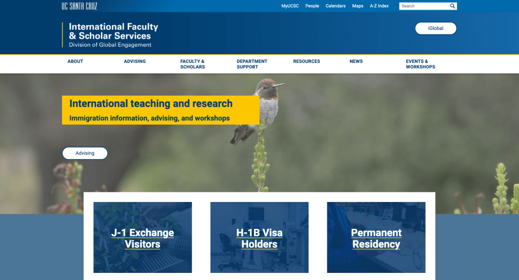 Screenshot of International Faculty Scholar Services website