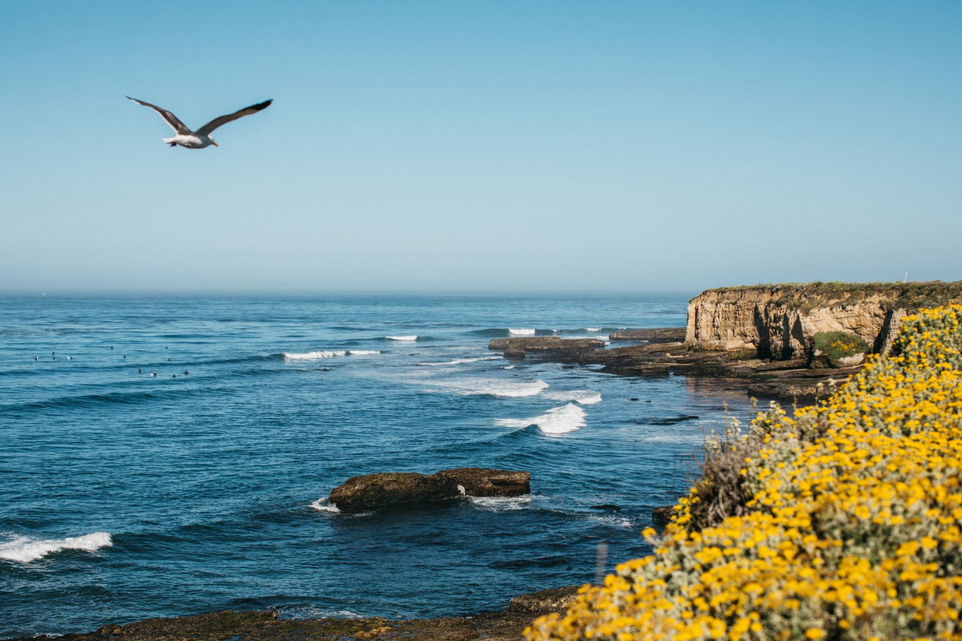 A view of the ocean and coastline in Santa Cruz